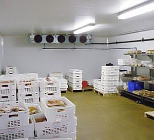 食品加工专用保鲜冷库